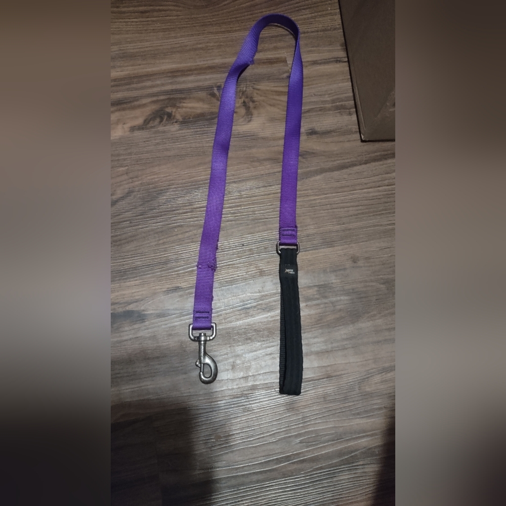 Purple and Black Dog Leash